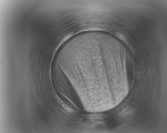 X0000058761181200510281910