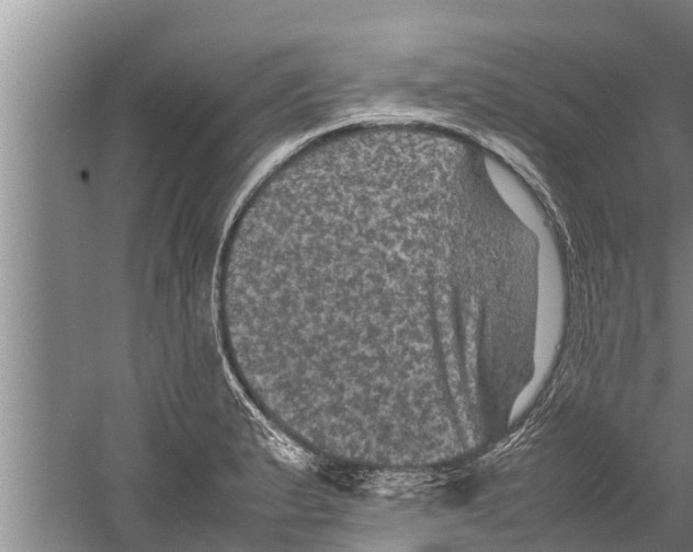 X0000058761183200510281910