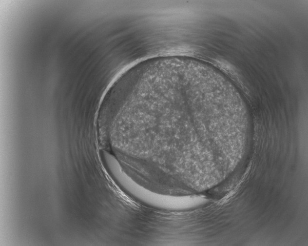 X0000058761184200510281910