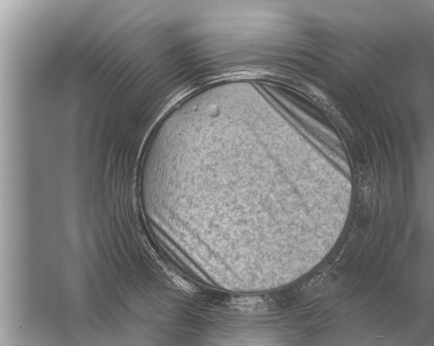 X0000058761186200510281910