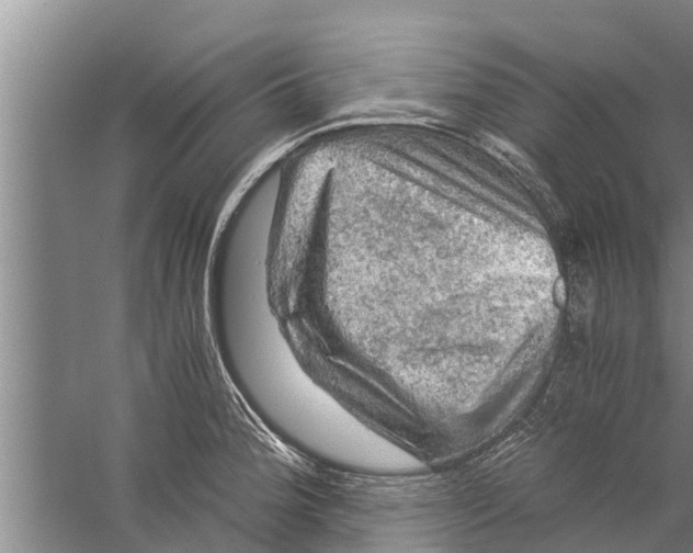 X0000058761188200510281910