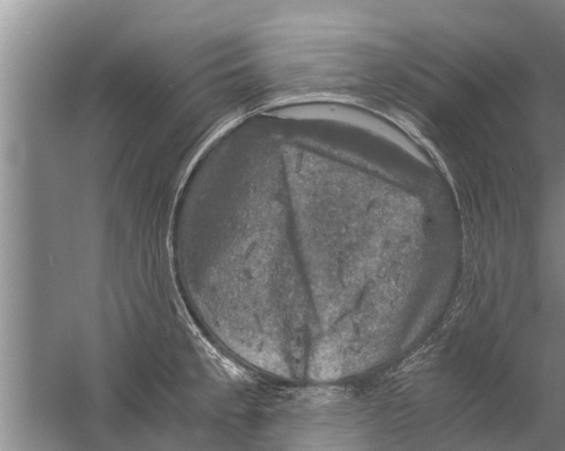 X0000058761189200510281910