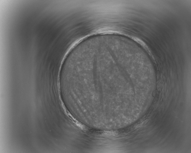 X0000058761191200510281910