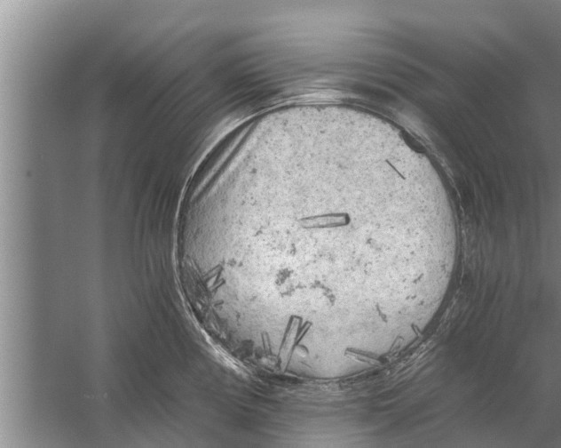 X0000058761194200510281910