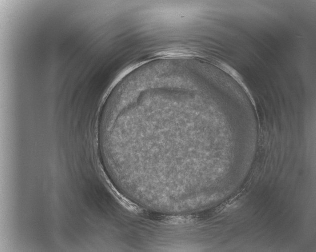 X0000058761195200510281910