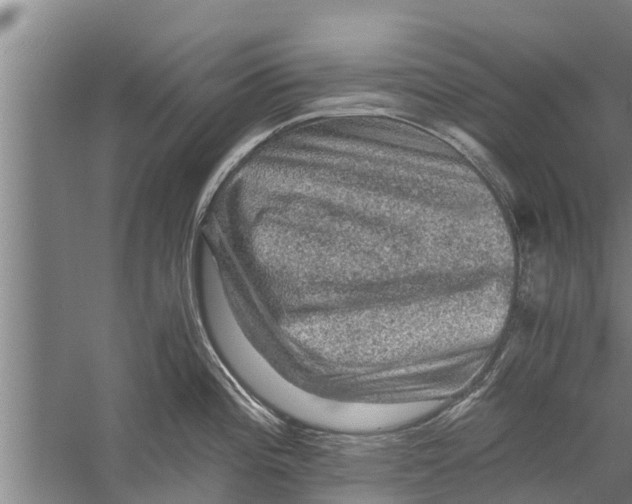 X0000058761196200510281910