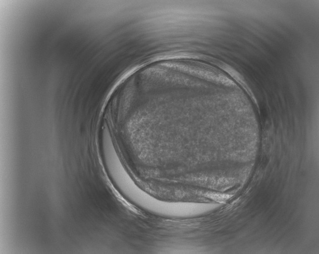 X0000058761197200510281910