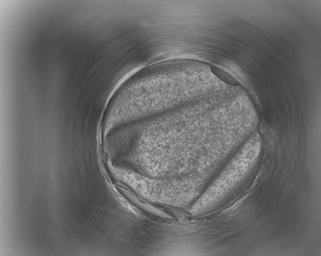 X0000058761198200510281910