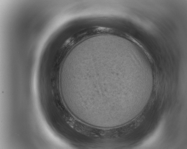 X0000058761199200510281910