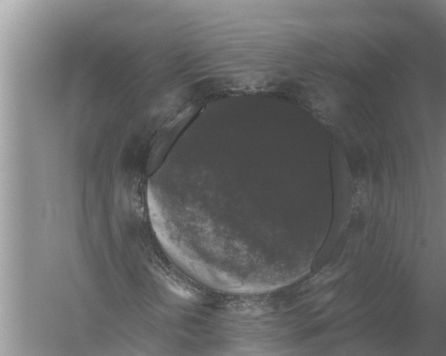 X0000058761202200510281908