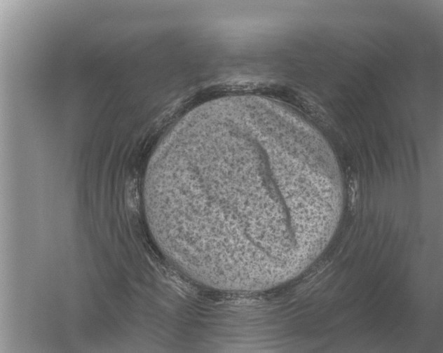 X0000058761204200510281909