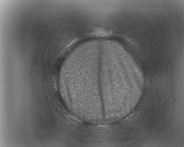 X0000058761205200510281909