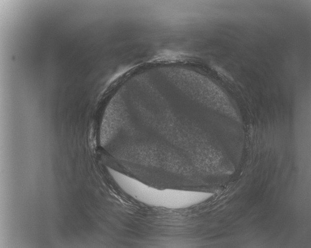 X0000058761206200510281909