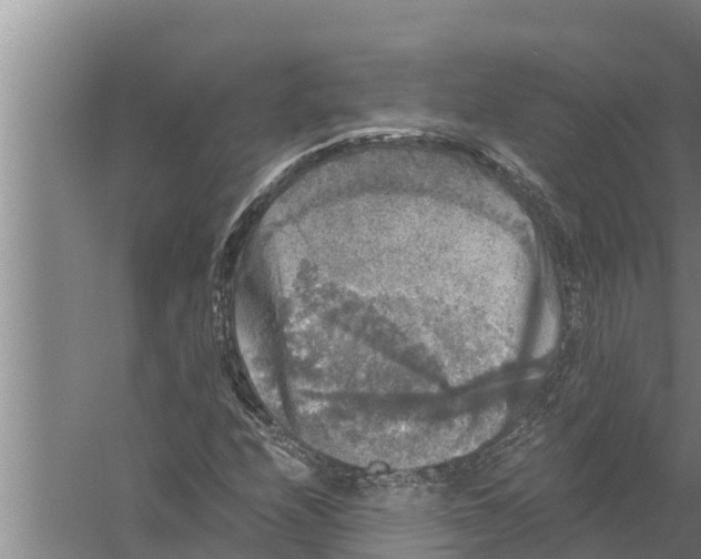 X0000058761208200510281909