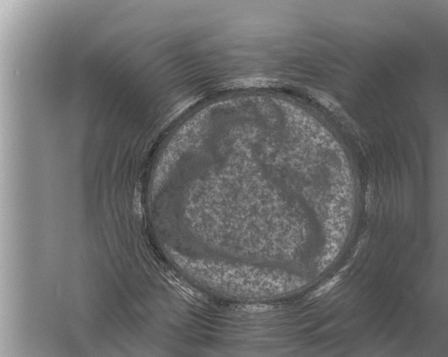 X0000058761209200510281909