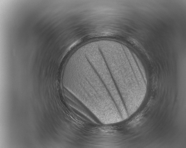 X0000058761210200510281909