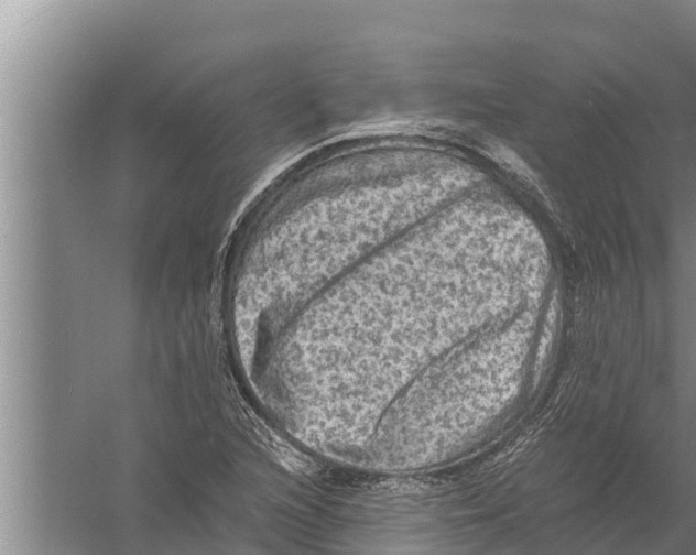 X0000058761216200510281909