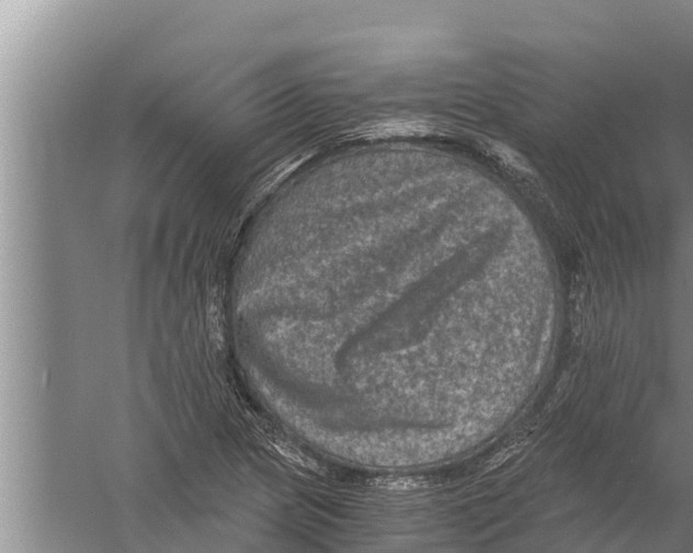 X0000058761217200510281909