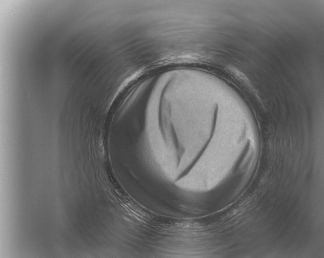 X0000058761218200510281909