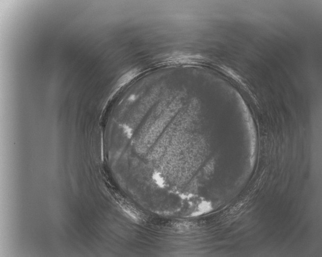 X0000058761219200510281909