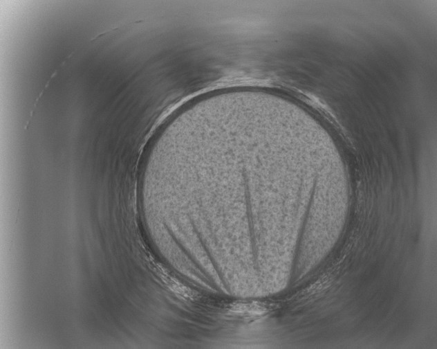 X0000058761220200510281909