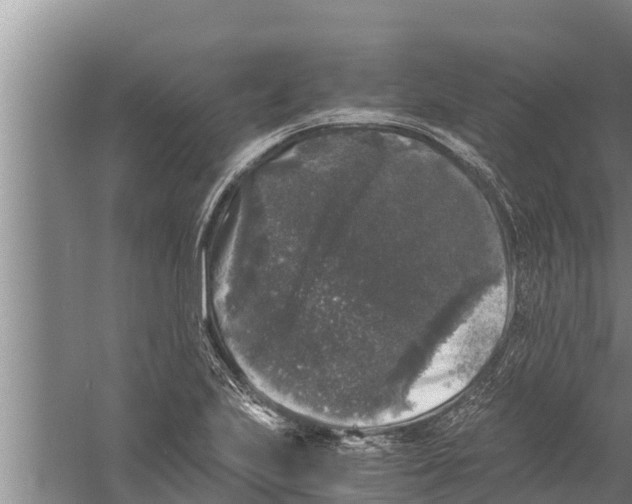 X0000058761223200510281909