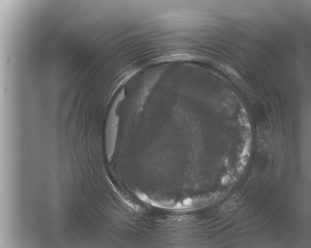 X0000058761225200510281909