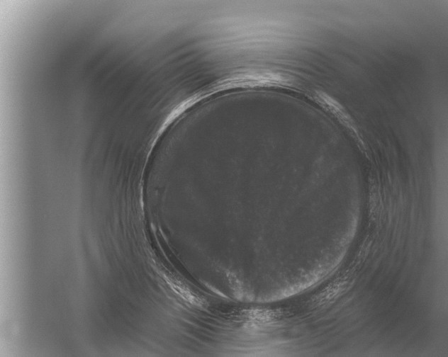 X0000058761226200510281909