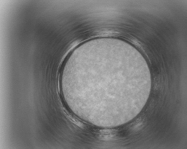 X0000058761227200510281909