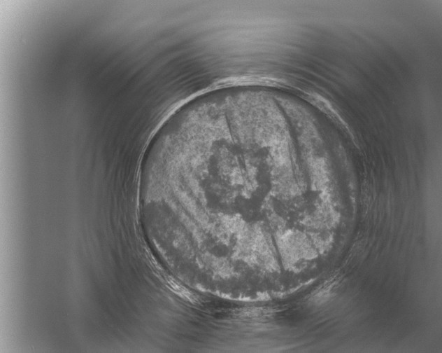 X0000058761228200510281909