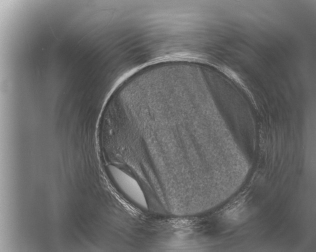 X0000058761230200510281909