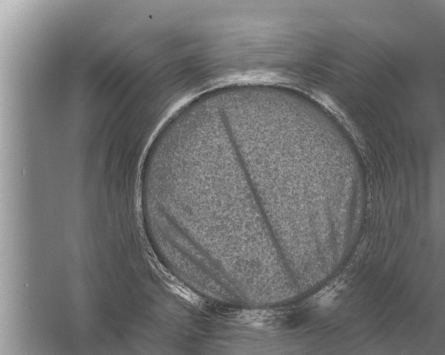 X0000058761232200510281909