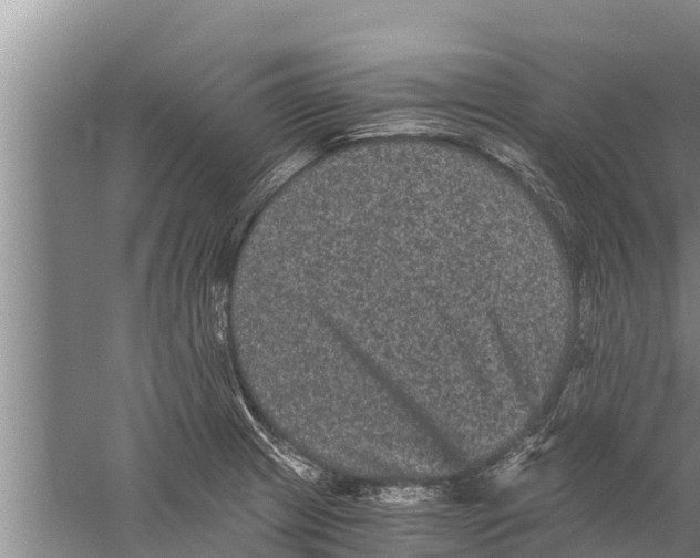 X0000058761233200510281909