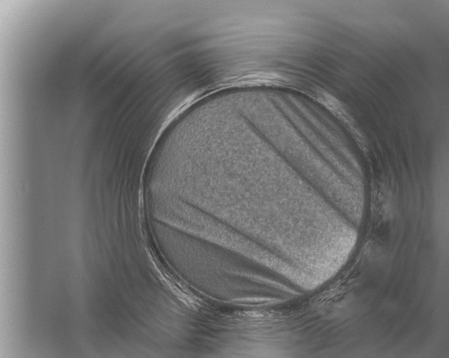 X0000058761234200510281909