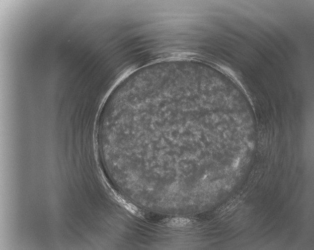 X0000058761235200510281909