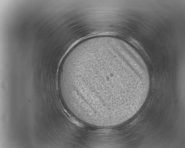 X0000058761236200510281909