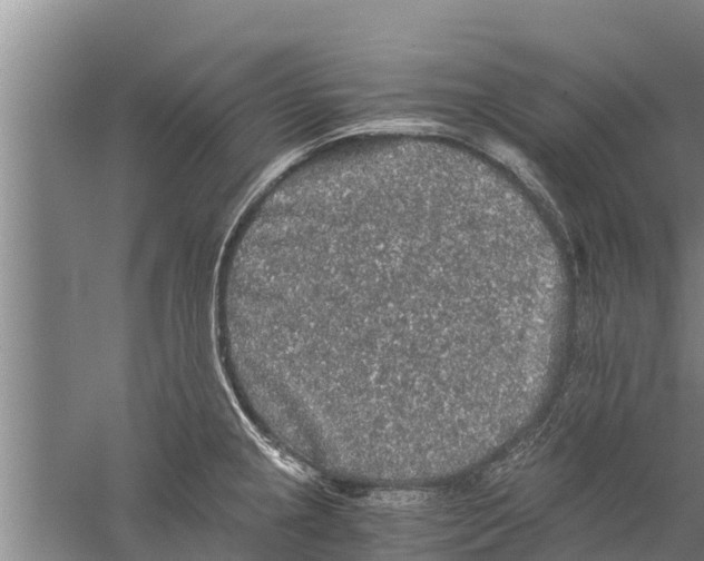 X0000058761237200510281909