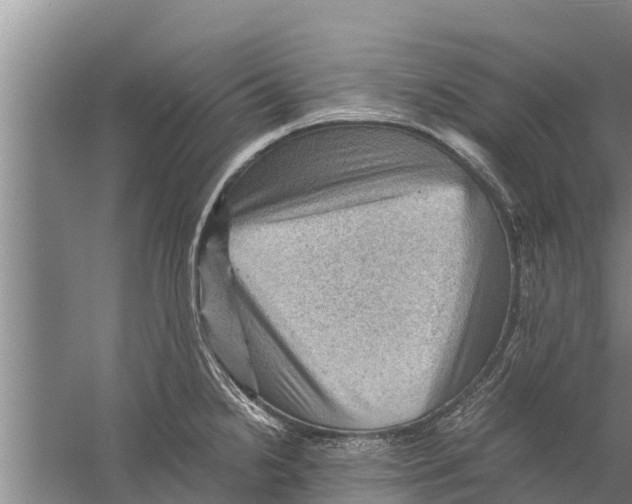 X0000058761238200510281909