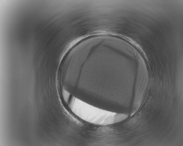 X0000058761239200510281909