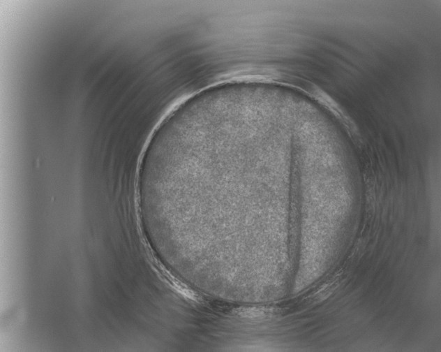 X0000058761240200510281909