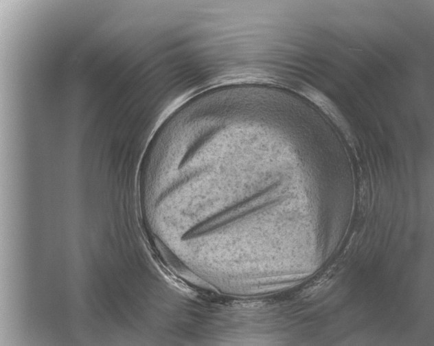 X0000058761242200510281909