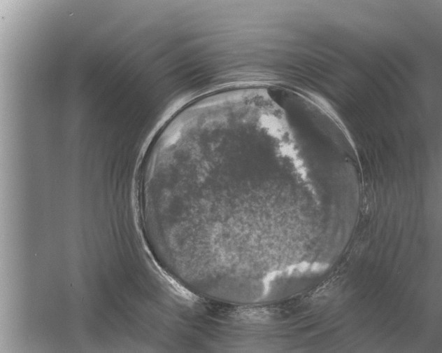 X0000058761243200510281909