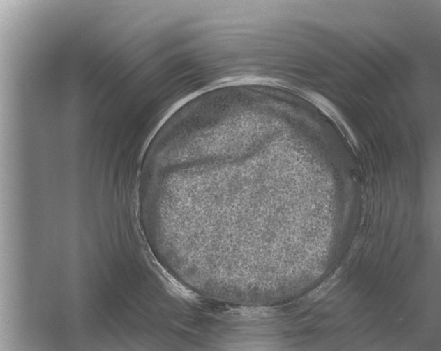 X0000058761244200510281909