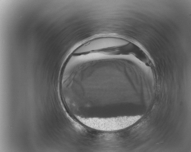 X0000058761245200510281909