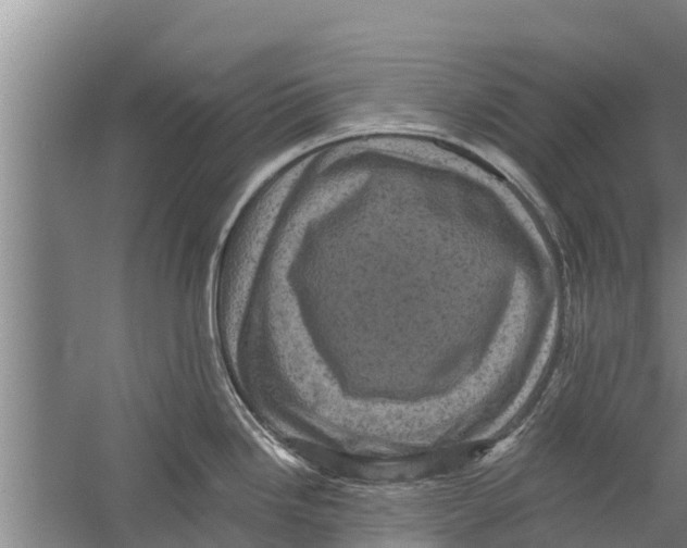 X0000058761246200510281909