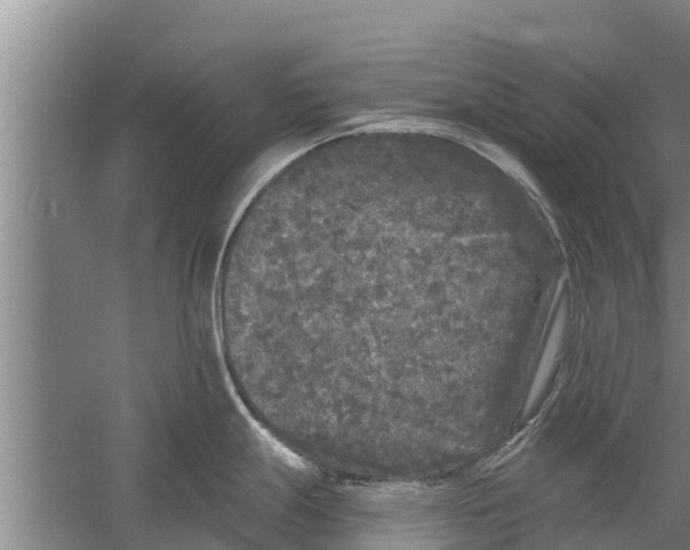 X0000058761247200510281910