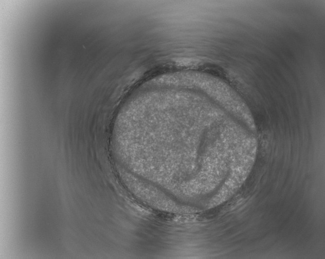 X0000058761249200510281908