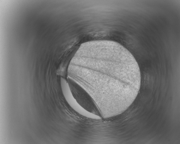 X0000058761250200510281908