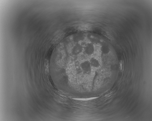 X0000058761251200510281908