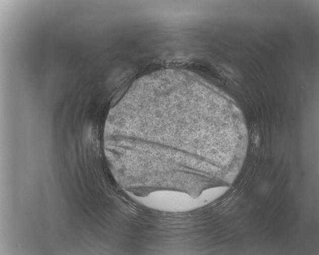 X0000058761252200510281908